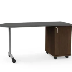 WB Mfg Appleton Teacher Desks^ Teacher Desks|Instructor Desks