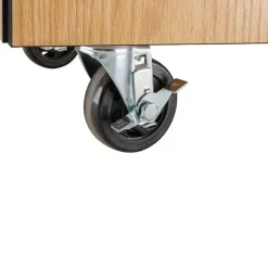 National Public Seating Bin Storage Mobile Science Cabinet with Chem-Res Top (48