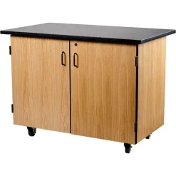National Public Seating Bin Storage Mobile Science Cabinet with Chem-Res Top (48
