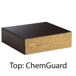 Caprock Economy Science Lab Table with ChemGuard Top - 24" x 54"^ Science|Science Tables