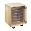 Diversified Spaces Compact Mobile Tote Storage Cabinet^ Lab Storage|Science Storage