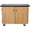 National Public Seating Economy Mobile Science Cabinet with Chem-Res Top (48" x 28")^ Lab Storage|Science Storage