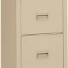 FireKing Fire-Resistant 22''D Vertical Turtle Files^ File Cabinets