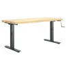 Diversified Spaces Hi-Lo Bench with Maple Butcher Block Top^ Stand-Up Student Desks|Makerspace & Shop
