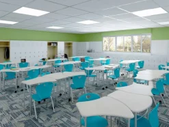 Scholar Craft Kaleidoscope Vertebrae Student Desk^ Collaborative Desks