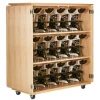 Diversified Spaces Large Microscope Storage Cabinet^ Lab Storage|Mobile Cabinets