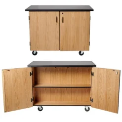 National Public Seating Microscope Storage Mobile Science Cabinet with Chem-Res Top (48" x 28")^ Lab Storage|Science Storage