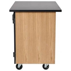 National Public Seating Microscope Storage Mobile Science Cabinet with Chem-Res Top (48