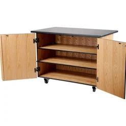 National Public Seating Microscope Storage Mobile Science Cabinet with Chem-Res Top (48