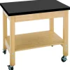Diversified Spaces Mobile Demo Cart with ChemGuard Top^ Science|Science Tables