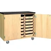 Diversified Spaces Mobile Tote Tray Storage^ Lab Storage|Mobile Lab Units