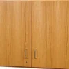 Diversified Spaces Oak Wall Science Cabinets^ Lab Storage|Science Storage
