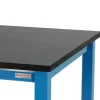 BenchPro Phenolic Workbench ( 24'' x 48'' ) - 3/4'' Top^ Science|Science Tables