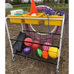 Copernicus Phys Ed Cart^ Tote & Bin Storage