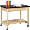 Diversified Spaces Portable Demo Table with Shelf Storage^ Science Workstations|Mobile Lab Units