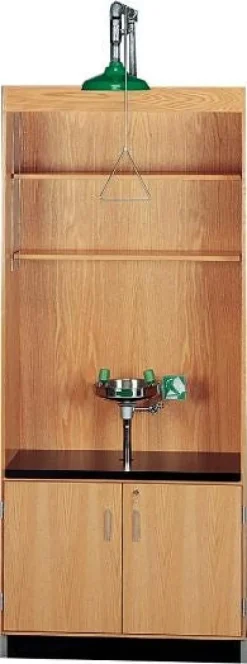 Diversified Spaces Shower Eye Wash Station^ Safety Stations