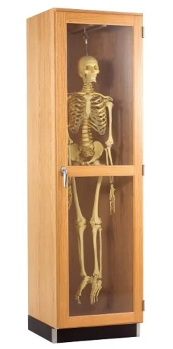 Diversified Spaces Skeleton Science Cabinet^ Lab Storage|Science Storage