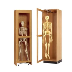 Diversified Spaces Skeleton Science Cabinet^ Lab Storage|Science Storage