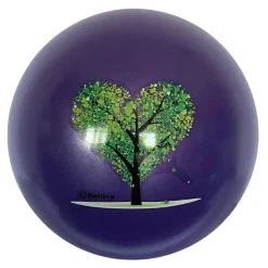Bintiva Stability Balls with Stabilizing Sand^Kids Active Seating|Kids Chairs
