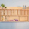 Whitney Brothers Wall Mounted Eight Cubby Diaper Cabinet^ Wall-Mount Cabinets