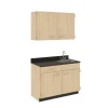 Stevens Industries Work Suites with Sinks^ Wall-Mount Cabinets|Casework Cabinets