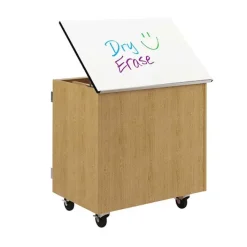 Diversified Spaces Write-N-Roll Mobile Storage Cabinet^ Lab Storage|Mobile Lab Units