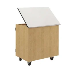 Diversified Spaces Write-N-Roll Mobile Storage Cabinet^ Lab Storage|Mobile Lab Units