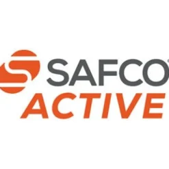 Safco Products Zenergy Swivel Ball Chair^Kids Active Seating|Kids Chairs